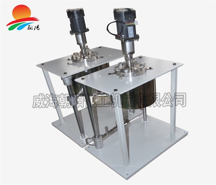 广东0.5L反应釜1