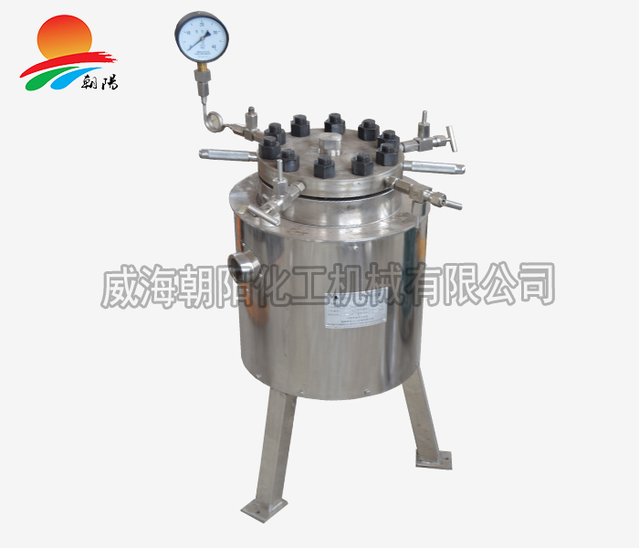 广东4L反应釜-C276浙江工业大学
